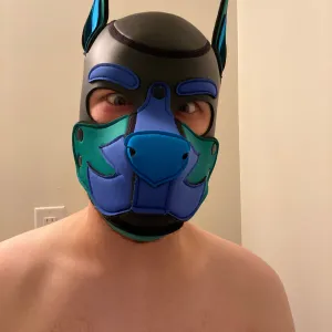 Pup Orion Onlyfans