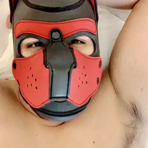 Ares Onlyfans