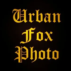 Urban Fox Photo Onlyfans