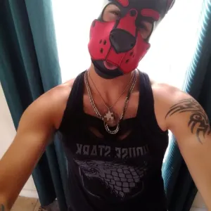 PupRush Onlyfans
