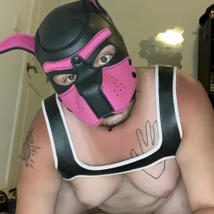 Pup Buzz Onlyfans