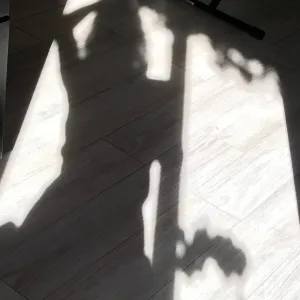 Dancing Shadows Onlyfans