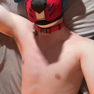 Pup Orpheus Onlyfans