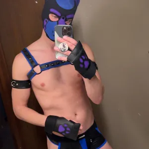 Pup Taz Onlyfans
