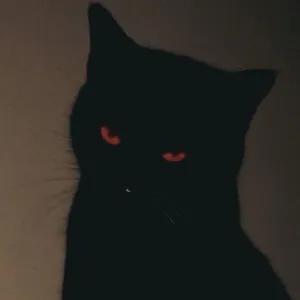 kuromi✩₊˚.⋆☾⋆⁺₊✧ Onlyfans