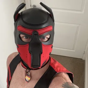 Pup Aries Onlyfans
