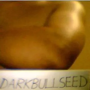 darkbullseed Onlyfans