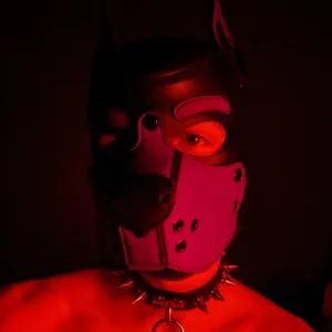 Bad Puppy Onlyfans