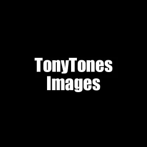 Tony Tones Onlyfans
