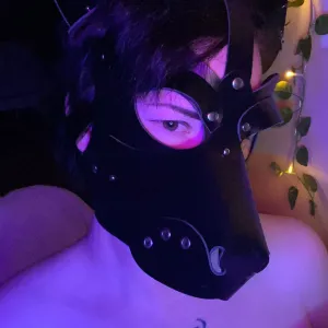 Pup Moth [Free Page] Onlyfans