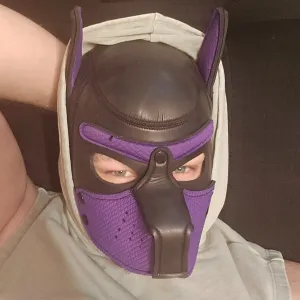 Purple Pupboy Onlyfans